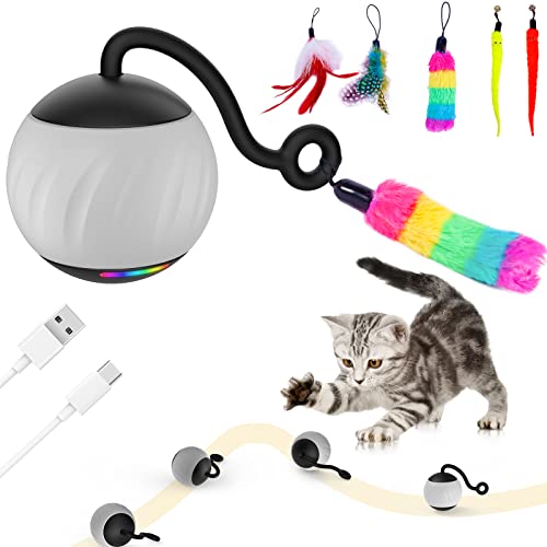 Wakhjakt Interactive Cat Toys For Indoor Cats, Diy 5 In 1 Automatic Moving Cat Ball Toys/Puppies Toys With Led Rainbow Lights, Smart Sounds&Touch Control Cat Toys,Usb Rechargeable (Grey) #TOP6