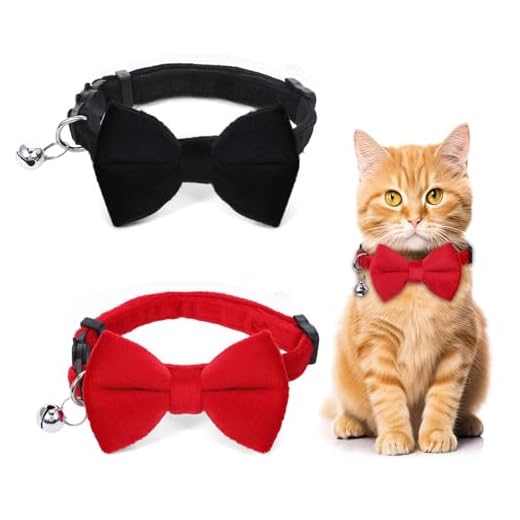 YUXIANLB Katzenhalsband Break Away Katzenhalsband mit Sicherheitsverschluss Katzen Halsbänder 2 Stück Kätzchenhalsbänder mit Glöckchen Verstellbar Kitten Halsband Personalisiert Haustierzubehör