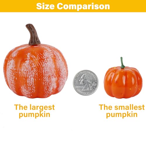 winemana Thanksgiving Fall Decorations for Home-6pcs Mini Pumpkins & 2pcs Gourds, 30pcs Leaves & 10pcs Acorns, 2pcs Pinecones Centerpiece Set-Harvest Decor for Table Mantel (Largest: 4.5" x 2.1")