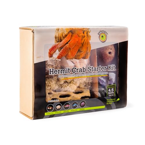 Galápagos (05355) Hermit Crab Starter Kit - Complete DIY Habitat Essentials for Terrestrial and Semi-Aquatic Crustaceans, Includes Cholla Wood, Coconut Hut, Moss, Stones and More, 4.5 Quarts