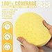 KUIMIT Yellow Polish Pad, 3Pcs 6.5 Inch Face for 6 Inch Buffing Polishing Pads and Woolen Pads 150mm Backing Plate Compound Buffing Sponge for Car Buffer Polisher Compounding, Polishing and Waxing