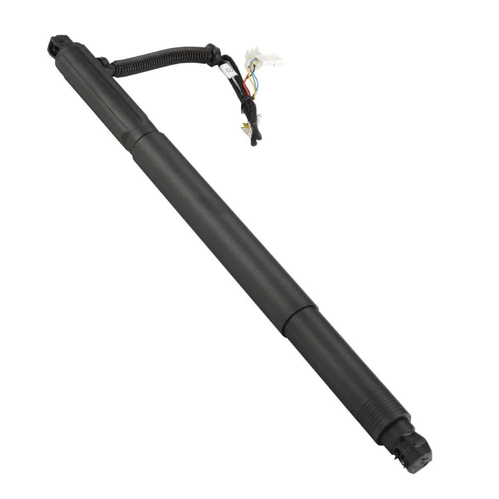 Amazon.com: Lzevoxec 2pcs Tailgate Lift Supports Rear Side