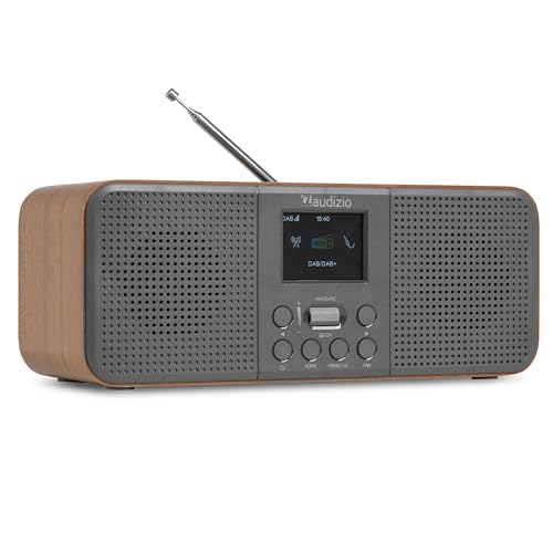 Audizio Bucine – Radio Dab+ FM Internet con Bluetooth, WiFi, 40W, Auto scan, Pantalla LCD, Altavoz Radio Bluetooth con Entrada AUX y Salida Auriculares para casa y Oficina, Color Madera Oscura y Gris