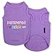 Parisian Pet Pampered Poochie Dog T-Shirt, X-Large