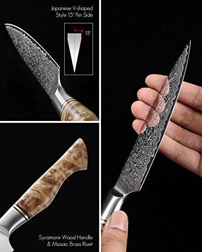 Hezhen 5Pc Kitchen Knives Set-Durable, Vacuum Heat Treated Damascus Steel- High Carbon Steel Japanese Style -Chef Knife Utility Knife Santoku Knife-Figured Sycamore Wood Handle-Porcelain Gift Package #TOP5