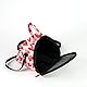 FUNAT Tragbare Tasche für Kleine Haustiere, Tragbare Hamstertasche mit Atmungsaktiver Abdeckung, Atmungsaktive Handtasche FüR Kleine Haustiere