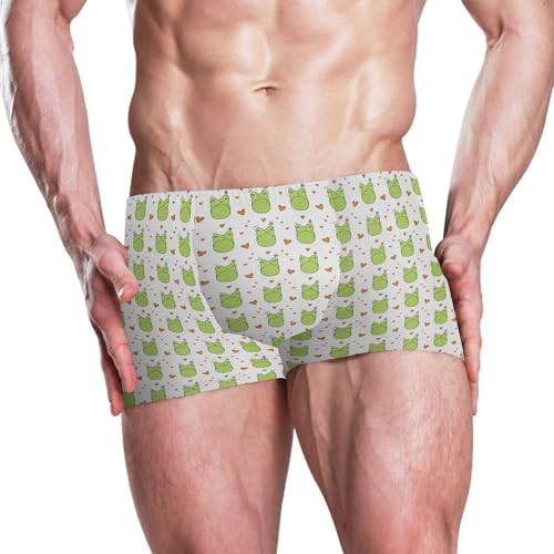 Cute Frog Mens Swim Trunk Swimwear Bathing Suit Swim Brief Square Leg Board Short S B04052172