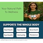 Multivitamins Tablet for Women, Once Daily Multimineral Supplement for Adults, with 20+ Key Nutrients- Iron, Vitamins A, D, E, C, + B-Complex, Supports Immunity, Bone, and Beauty, 60 Count - Image 4