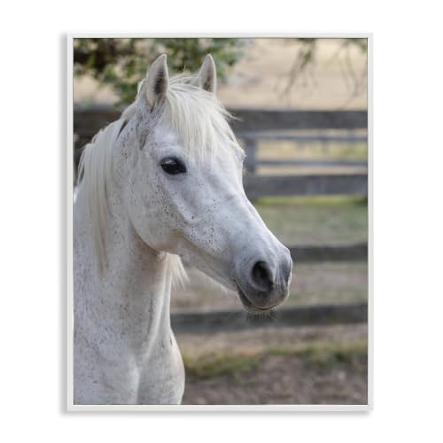 Elegant White Spotted Horse, 16 x 20 Inch Framed Giclée Print