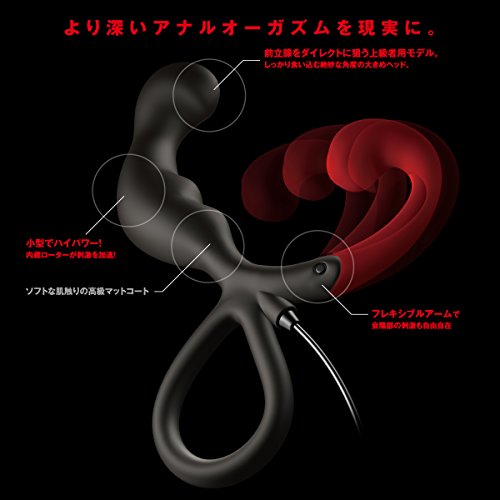 Enemable R Type-2 - 画像3