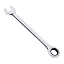 Combination Ratcheting Wrench