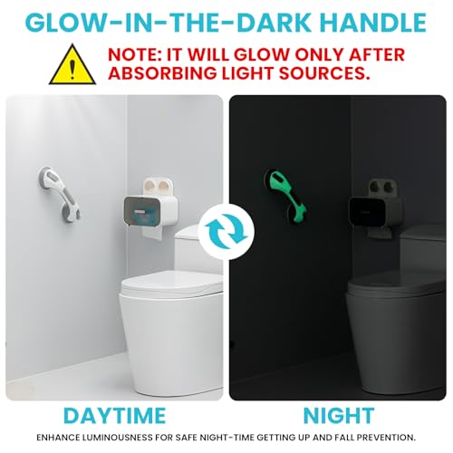 Image of TAILI Shower Grab Bars,Suction Shower Handles,Glow in The Dark,12.2 inch,Grey