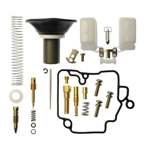 PD18J PD19J 18mm Carburetor Rebuild Kit Compatible with GY6 50cc 139QMB 147QMD – Includes Plunger – For Moped Scooter ATV Gokart Carb Service