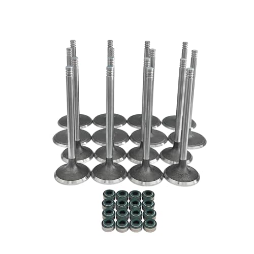 Tokinng New Engine Intake Exhaust Valves Kits w/Valve Seals for 2011-2024 Chrysler, Dodge, Ram, and Jeep 6.2L 6.4L V8 HEMI, Replace 5038331AB 5038332AB