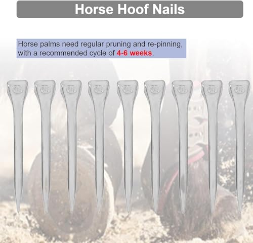 Image of KUIDAMOS 250PCS Horseshoe Nails horseshoe nails e6 Horseshoes Equipment Equestrian Sport Equipment Horse Training Supplies Tool 2.1 Inch E6 Hoof Nails for Horse Race Hoefijzernagels