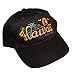 Embroidered Hawaii Aloha State Diamond Head Cap Hats (Black)