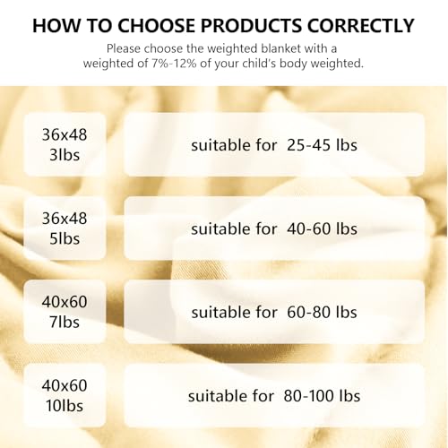 L'AGRATY Weighted Blanket - 36"x48" 5lbs Microfiber Material with Glass Beads Small Blanket for All-Season Summer Fall Winter Soft Thick