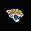 Jacksonville Jaguars Jacksonville Jaguars