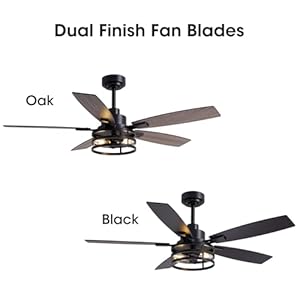 52 Inch Ceiling Fans with Lights and Remote Control Farmhouse Ceiling Fan for Bedroom Living Room and Patio Black Caged Ceiling Fan for Indoor and Outdoor