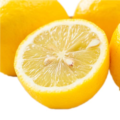 木下さんちのニューサマーオレンジ 訳あり (大中小サイズ混み) 家庭用 柑橘 果物 フルーツ 愛媛県 西予市 ([訳あり]約5kg)