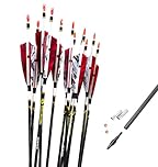 ACCMOS 12pcs Spine 340 400 500 600 700 800 Hunting Arrows ID 6.2 mm Carbon Arrow for Adult Youth Hunting or Target Practice ID 6.2 mm Bow Archery Huntting Shooting (30inch, RSpine 800)