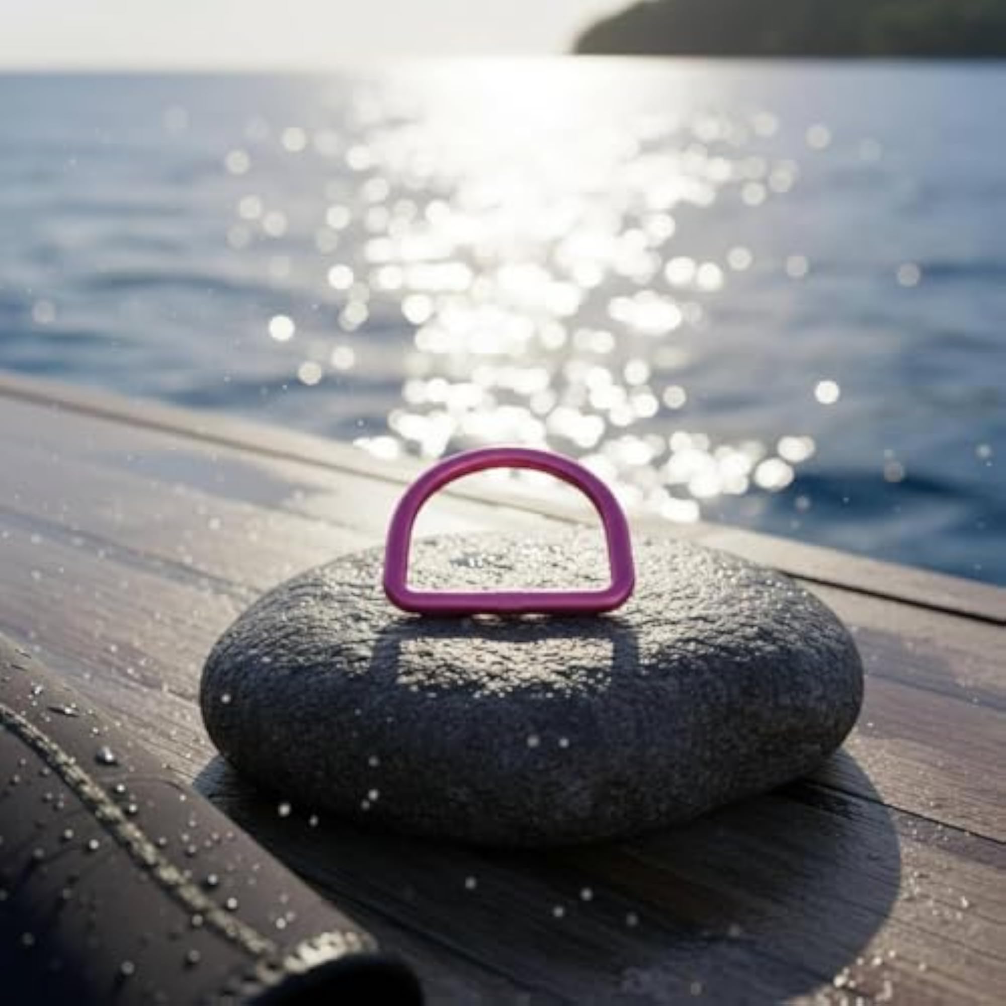Colorful 2 Inch Strap D-Loop, Purple