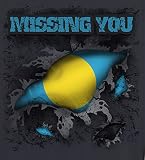 Makoroni - Missing You Palau World Country Flag Decal - Car Laptop Wall Sticker - 4"x4.5", #g7