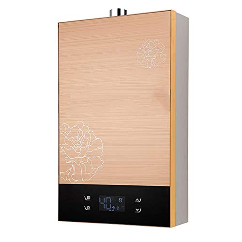 Calentador de Agua instantáneo de 12L 22KW Gas Natural LPG licuado Calentador de Agua de propano de petróleo Caldera de Pared for Cocina casera (Size : Natural Gas)