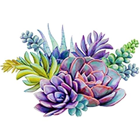 Beautiful Desert Succulent Plant Arrangement Art - Spring Vinyl Decal Sticker (8" Wide) Cover