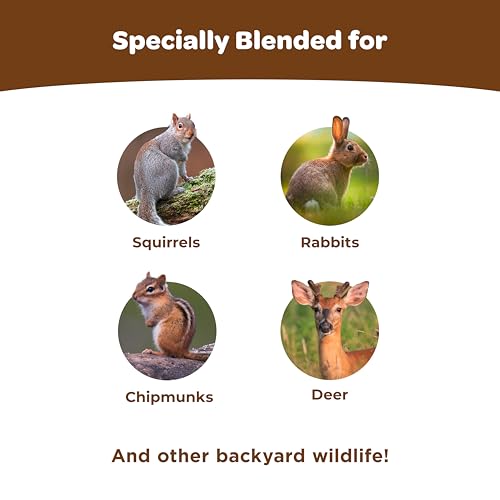 Kaytee Ultimate Backyard Wildlife Food for Wild Squirrels, Rabbits, Chipmunks, and More, 8 Pounds - image 4