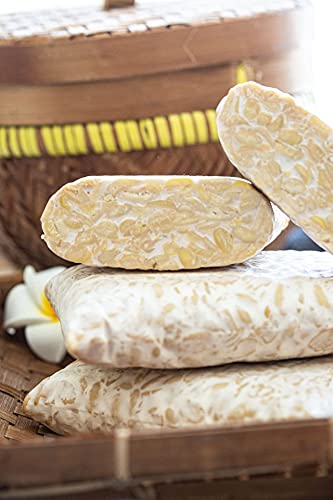 Bostempeh - Fresh Tempeh (Pack Of 6) #TOP2