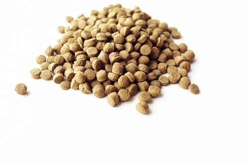 M-SOL Classic Hundefutter mit Insektenprotein – Super Gesund, Nachhaltig & Hypoallergen (3kg Packung)