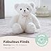 Bearington Chipper, 15 Inch White Teddy Bear Stuffed Animal, Makes a Great Gift for Birthday, Anniversary, Holiday, or Graduation