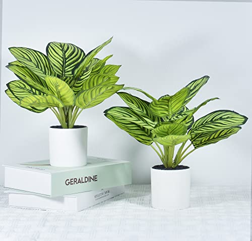 2 Pack Fake Plants Mini Potted Artificial Plants Faux Plants Indoor ...