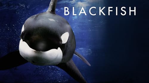 Blackfish
