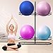 MEIPEIQIZHI Stabilising Ball Rack,Exercise Ball Holder,Medicine Ball Rack and Yoga Ball Storage Suitable for Stability Ball,Yoga Mats Home Gym and Commercial Gym