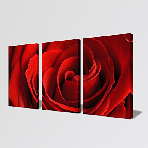 Aitesi Art Framed Flower Canvas Wall Art Set Prints 'Red Rose' Gallery-Wrapped Artwork Painting For Living Room Decor Ready To Hang 24X48'' (Frame) #TOP5