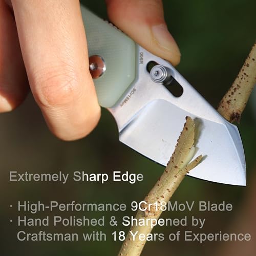 Image of JIN Rhino Small Pocket Knife for Men, Button Lock EDC, Folding Knife Kit, 2 inch 9Cr18Mov Satin Blade, Jade G10 Handle, Gift for Men Women, Razor Sharp Camping Knives