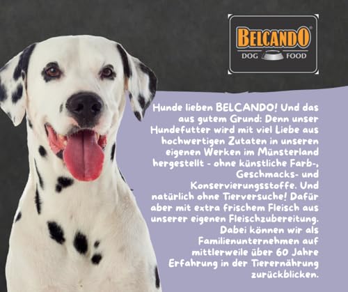 Belcando Finest Selection- Hundefutter- Senior 6x125g- hochwertiges Nassfutter mit Hühnchen, Kürbis & Reis- getreidefrei, leicht verdaulich & speziell für ältere Hunde mit sensiblem Magen- B-7