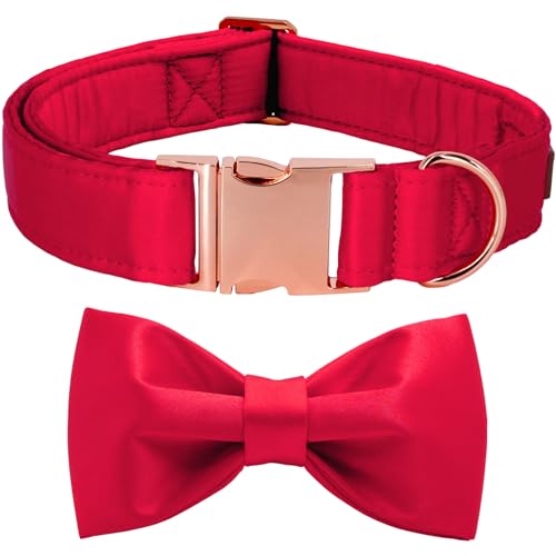 Tunkoo bhVNhbOJ[ NX}X&zf[p - 킢lN^C [YS[h^obN ybgւ̃X^CbVȃMtgA߉\AϋvAS