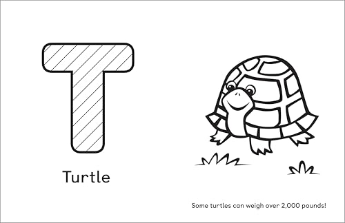 A Is for Animals!: Preschool Coloring Book - Thumbnail 6