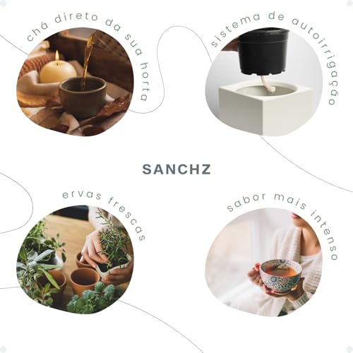 Kit Horta Vertical Vaso + Sementes e Substrato Para Chá Jardineiras Salmão (Lavanda, Branco, 1)