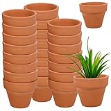 Taille parfaite pour les collections : ce lot de 24 petits pots de fleurs est idéal pour organiser une variété de plantes grasses, d'herbes aromatiques, ou pour commencer de nouveaux semis dans un style cohésif. Petits pots de fleurs