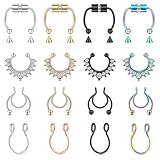 HTTDSLF 16 Pièces Piercing Septum Acier Chirurgical, Body Piercing Nose Hoop Corporel, Cartilage Tragus Helix Oreille Anneaux Fer à Cheval Bijoux, pour Homme et Femme