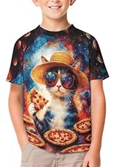 Galaxy Pizza Cat