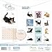 Carousel Worldwide, Cute Cats Wall Calendar 2026 Square