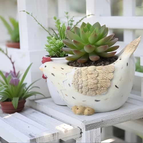 Pots de fleurs pour légumes évitant l'excès d'eau en chambre - 8