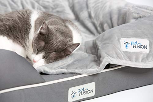 PetFusion Ultimate Solid 2,5 'Memory Foam Haustierbett für kleine Hunde und Katzen (25 x 20 x 5,5' orthopädische Sofacouch; grau). Ersatzabdeckungen und Decken sind ebenfalls erhältlich