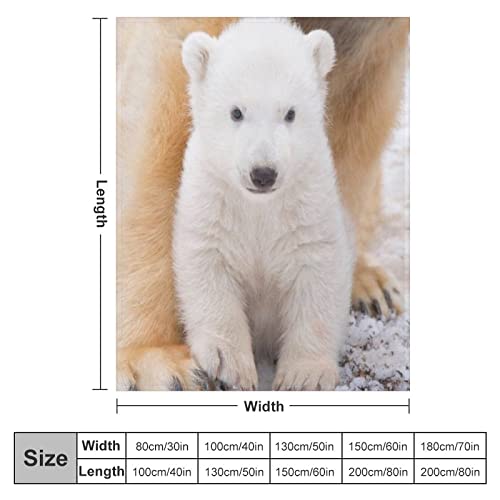 Couverture en flanelle super douce et chaude pour lit en peluche - 3