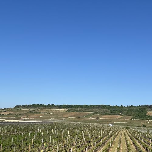 Global Routes: Your Personal Travel Companion Podcast Por Zen-Bonsai arte de portada